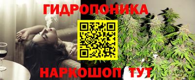 прущие крисы Бузулук