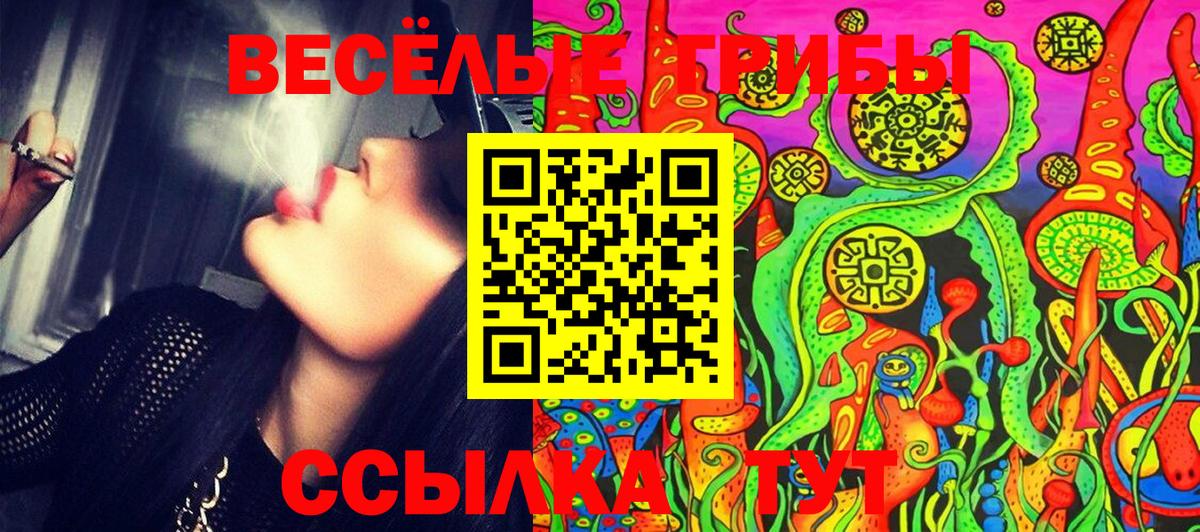 Старая Русса  Псилоцибиновые грибы Psilocybine cubensis  Вход с VPN 